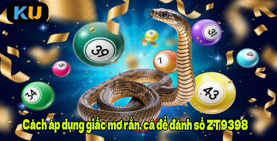 Cách áp dụng giấc mơ rắn, cá để đánh số FR8896